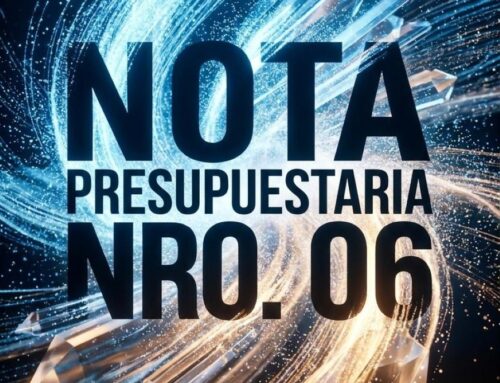 Nota Presupuestaria Nº 6